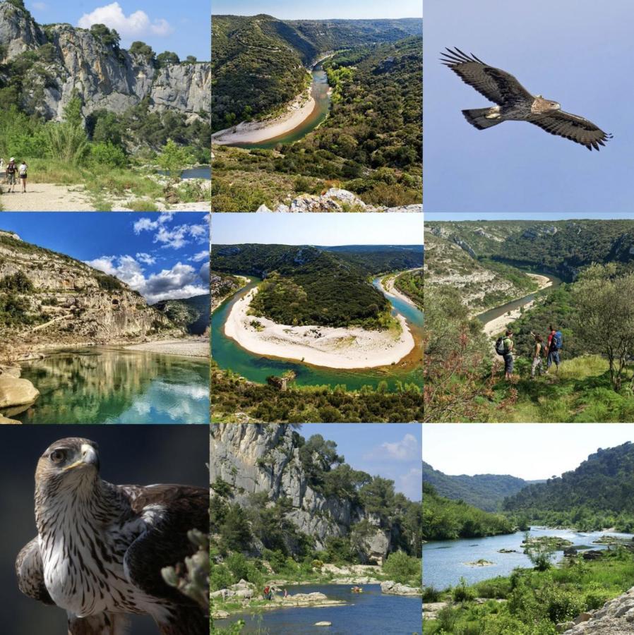 Le Cherche Midi, Entre Nimes, Le Pont Du Gard, Uzes, Arles Маргьорит Екстериор снимка